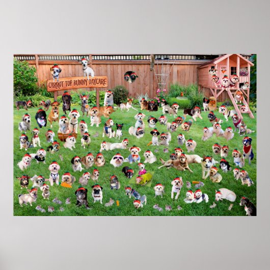 Carrot Top Bunny Daycare 2015 Poster (Voorkant)