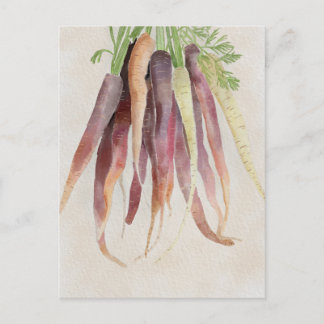 Carrots, 5x7 Post Card Briefkaart
