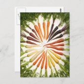 Carrots Colorful Garden Pattern Briefkaart (Voorkant / Achterkant)