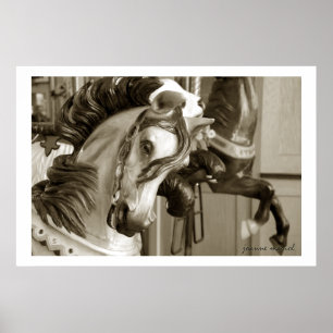 Carrousel 40 Poster afdrukken