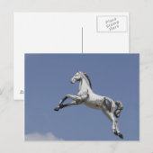 Carrouselpaard Briefkaart (Voorkant / Achterkant)