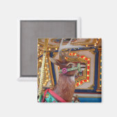 Carrouselrendier Magneet (Voorkant / Achterkant)