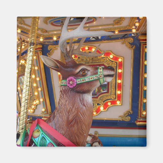 Carrouselrendier Magneet (Voorkant)