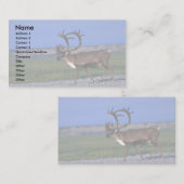 Carrousstier Visitekaartje (Voorkant / Achterkant)