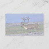 Carrousstier Visitekaartje (Achterkant)