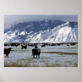 Carson Valley Poster (Voorkant)