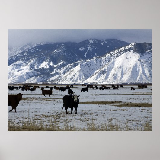 Carson Valley Poster (Voorkant)