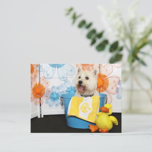 Carson - West Highland Terrier -6 Briefkaart (Staand voorkant)
