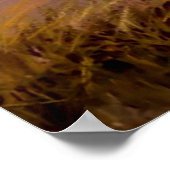 "Carson's Mannen" van Charles Russell Poster (Hoek)