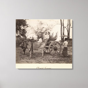 Cart, getrokken door twee oxen in Mandalay, Birma Canvas Afdruk