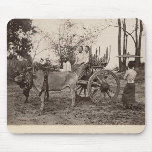 Cart, getrokken door twee oxen in Mandalay, Birma Muismat