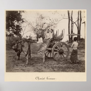 Cart, getrokken door twee oxen in Mandalay, Birma Poster