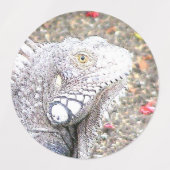 CArt Iguana Labels (Design 1)