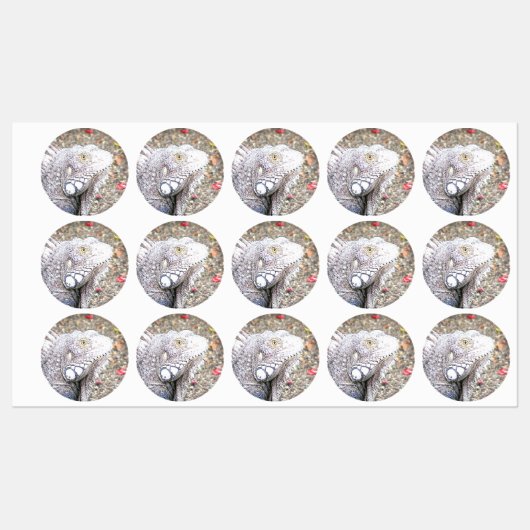 CArt Iguana Labels (Vel)