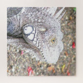 CArt Iguana Legpuzzel (Horizontaal)
