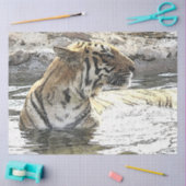 CArt Tiger 118 Tissuepapier (Craft)