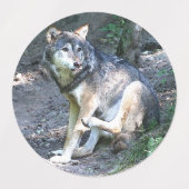 CArt Wolf Labels (Design 2)