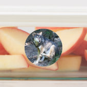 CArt Wolf Labels (Aangebracht)