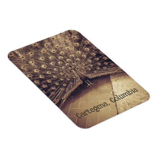 Cartagena, Colombia Magneet (Rechterzijde)