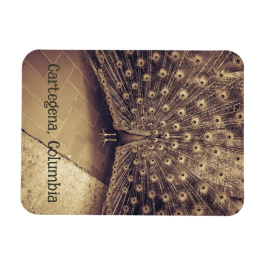 Cartagena, Colombia Magneet (Horizontaal)