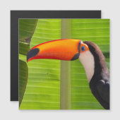 Cartão maagnético com design Tucano (Voorkant / Achterkant)
