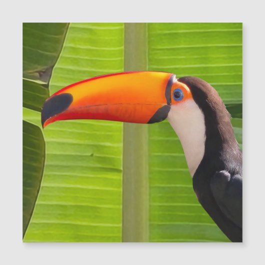 Cartão maagnético com design Tucano (Voorkant)