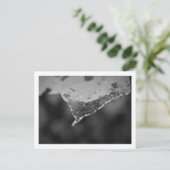 Cartão Postal - Folha teia (Nº1) Briefkaart (Staand voorkant)