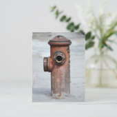 Cartão Postal - Hidrante  - São Paulo|Nº13 Briefkaart (Staand voorkant)