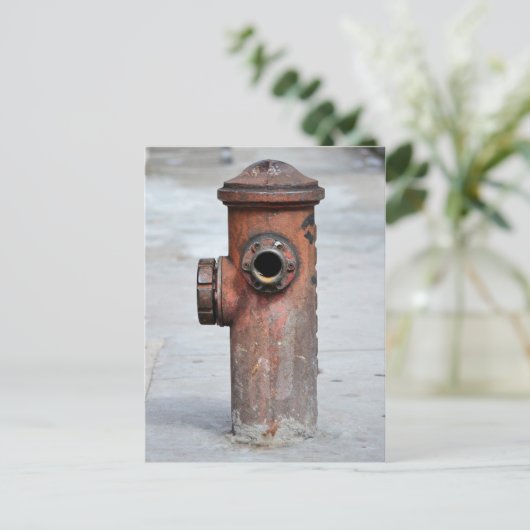 Cartão Postal - Hidrante  - São Paulo|Nº13 Briefkaart (Staand voorkant)