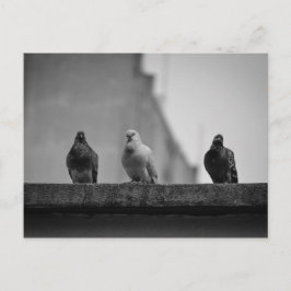 Cartão Postal - Três Pombos (Avenida Paulista)|Nº3 Briefkaart