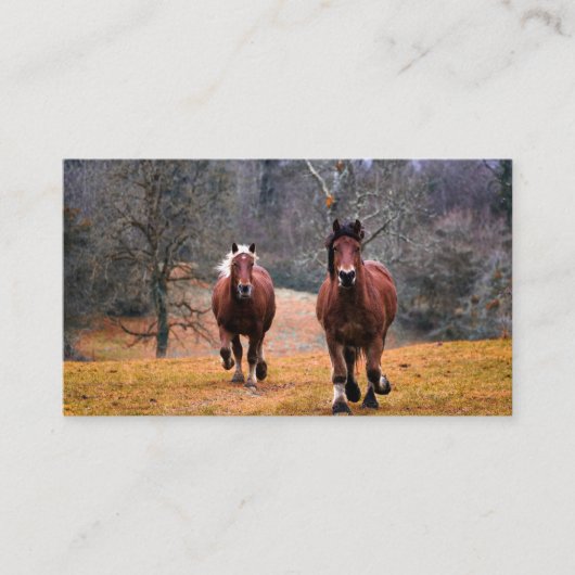 Carte De Visite Mini Visitekaartjes (Voorkant)