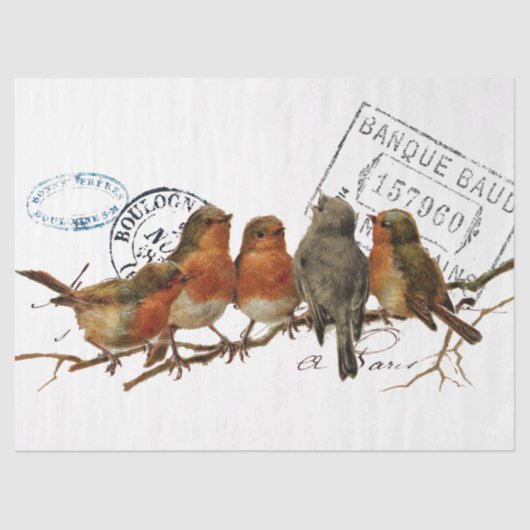 Carte Postale Bird European Robins Franse Vintage Tissuepapier (Voorkant)