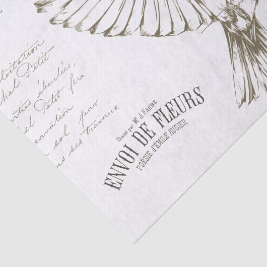 Carte Postale Bird French Script Sepia Tissuepapier (Detail)