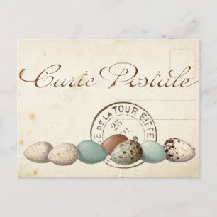 Carte Postale Bird Set 1 of 4 (Postmark Eggs) Briefkaart
