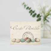 Carte Postale Bird Set 1 of 4 (Postmark Eggs) Briefkaart (Staand voorkant)