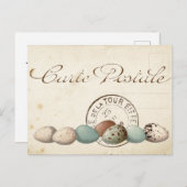 Carte Postale Bird Set 1 of 4 (Postmark Eggs) Briefkaart (Voorkant / Achterkant)