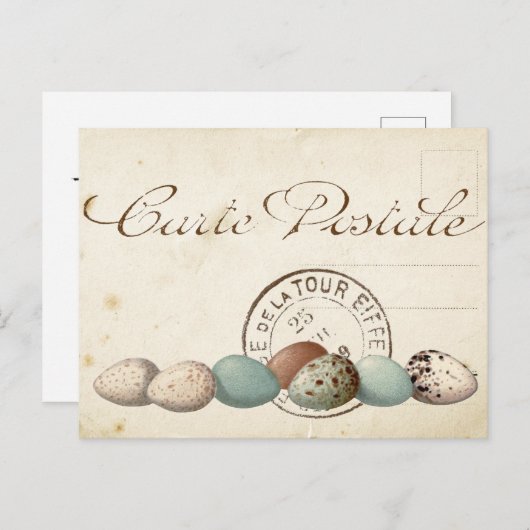 Carte Postale Bird Set 1 of 4 (Postmark Eggs) Briefkaart (Voorkant / Achterkant)