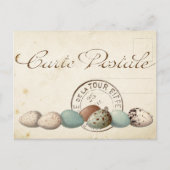 Carte Postale Bird Set 1 of 4 (Postmark Eggs) Briefkaart (Voorkant)