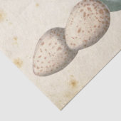 Carte Postale Bird Set 1 of 4 (Postmark Eggs) Tissuepapier (Detail)