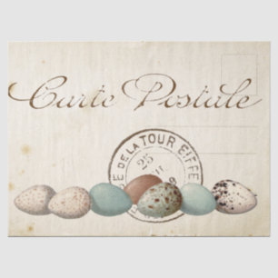 Carte Postale Bird Set 1 of 4 (Postmark Eggs) Tissuepapier