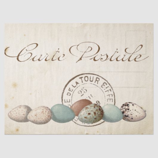 Carte Postale Bird Set 1 of 4 (Postmark Eggs) Tissuepapier (Voorkant)