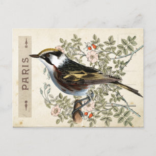 Carte Postale Bird Set 2 of 4 (Paris Roos Bird) Briefkaart