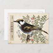Carte Postale Bird Set 2 of 4 (Paris Roos Bird) Briefkaart (Voorkant / Achterkant)