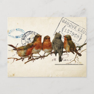 Carte Postale Bird Set 3 of 4 (European Robins) Briefkaart