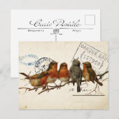 Carte Postale Bird Set 3 of 4 (European Robins) Briefkaart (Voorkant / Achterkant)