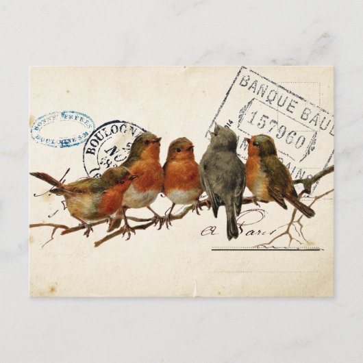 Carte Postale Bird Set 3 of 4 (European Robins) Briefkaart (Voorkant)