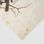 Carte Postale Bird Set 3 of 4 European Robins Flip Tissuepapier (Detail)