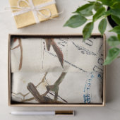 Carte Postale Bird Set 3 of 4 European Robins Text Tissuepapier (Geschenk)