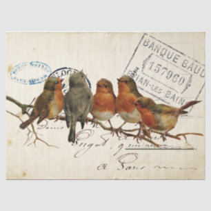 Carte Postale Bird Set 3 of 4 European Robins Text Tissuepapier