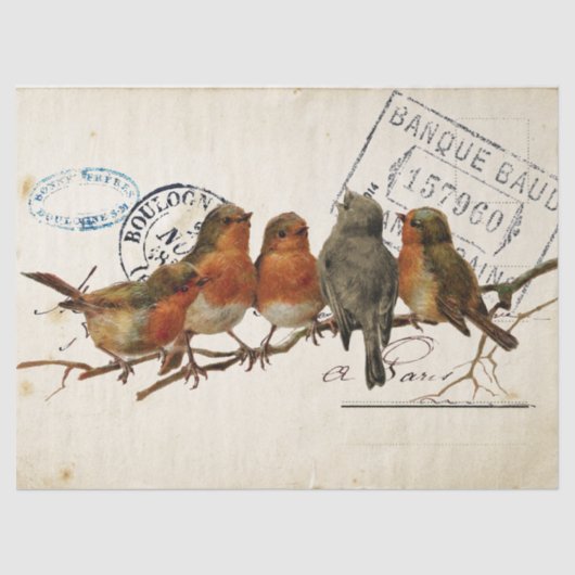 Carte Postale Bird Set 3 of 4 (European Robins) Tissuepapier (Voorkant)